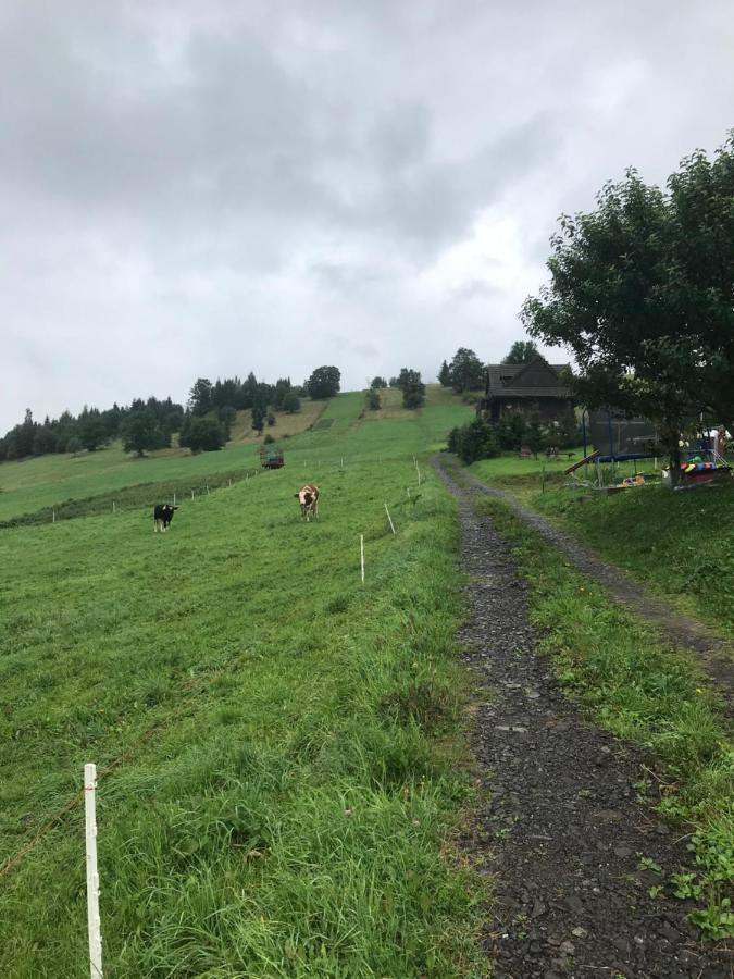 Villa Zdiar 681 Eksteriør bilde