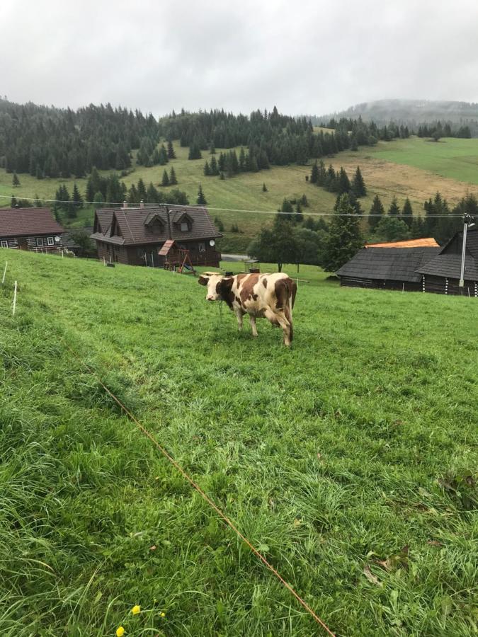 Villa Zdiar 681 Eksteriør bilde